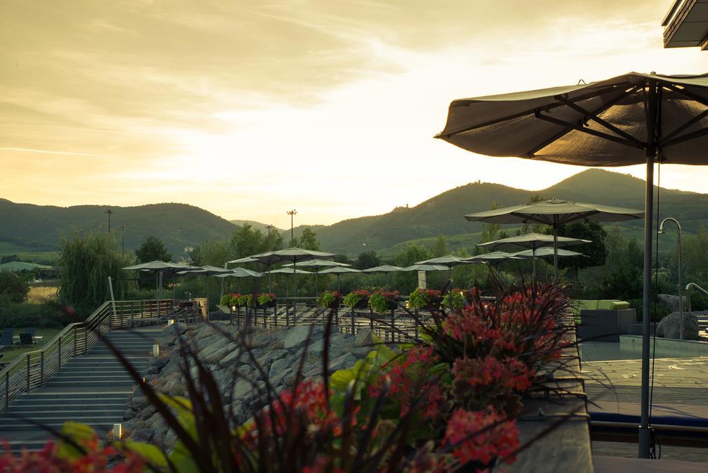 Hotel Barriere Ribeauville Dış mekan fotoğraf
